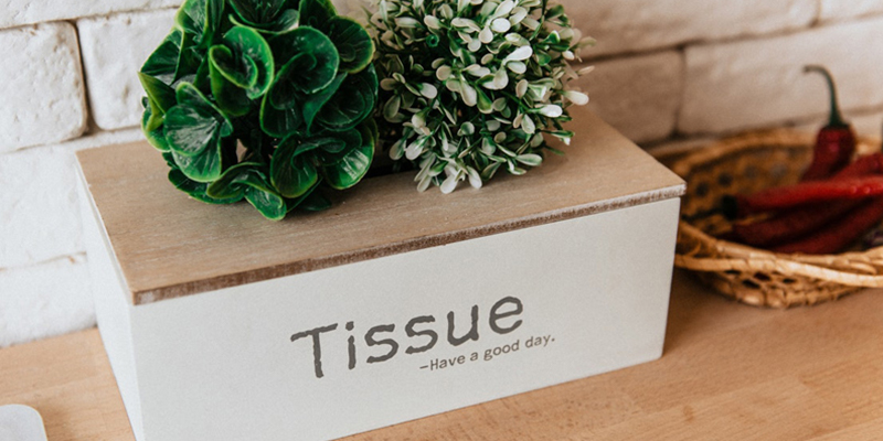 Distributor Supplier Tissue Livi Murah Jabodetabek