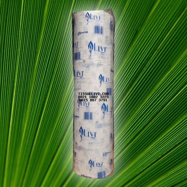 Medicare Roll System Livi Evo Premium 12 roll x 150 Sheet / Dus